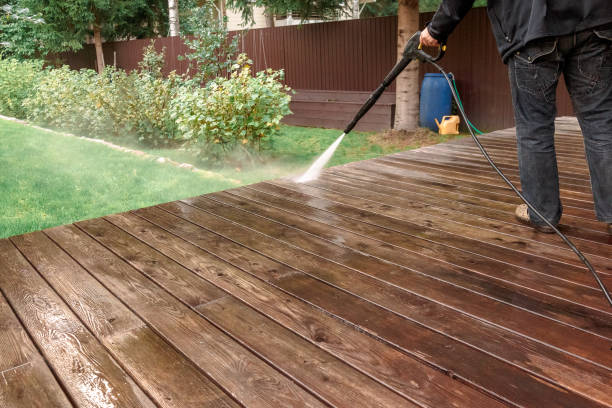 Best Gutter Cleaning  in Carpentersvle, IL
